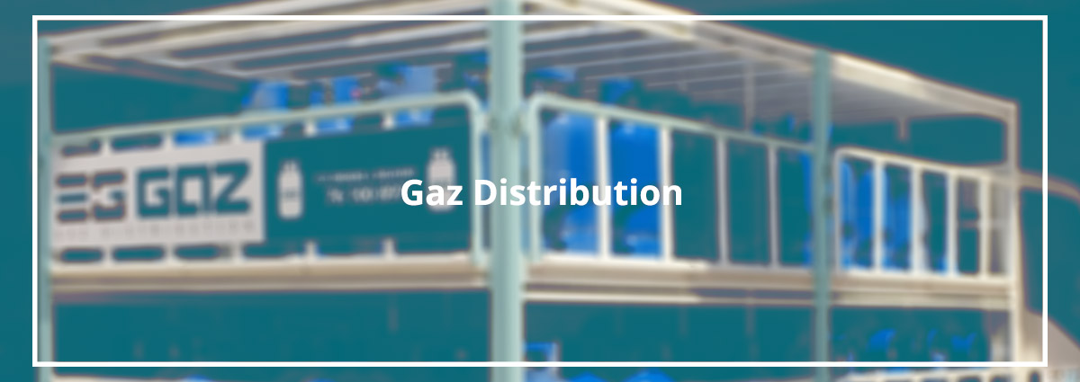 EG Gaz distribution EG Gaz distribution